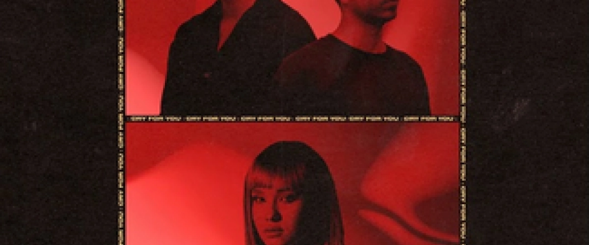 Faul & Wad x Dharia - Cry For You Hit Garantie MixFeever 