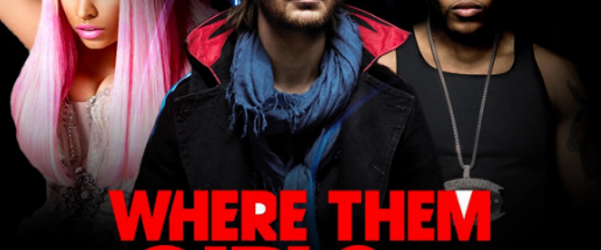 David Guetta : Le créateur de hits 