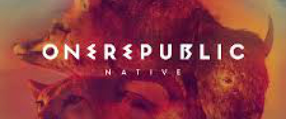 OneRepublic - Future Looks Good