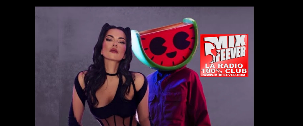 INNA x MELON x Dance Fruits Music - Hello Hello  déja sur MixFeever