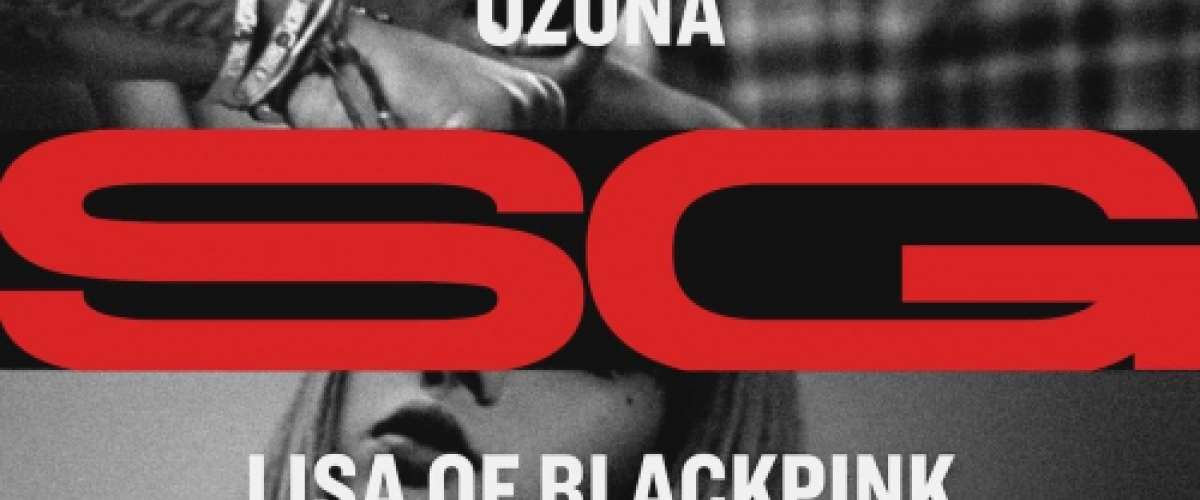 DJ Snake, Ozuna, Megan Thee Stallion, LISA of BLACKPINK - SG déja sur MixFeever Hit Garantie