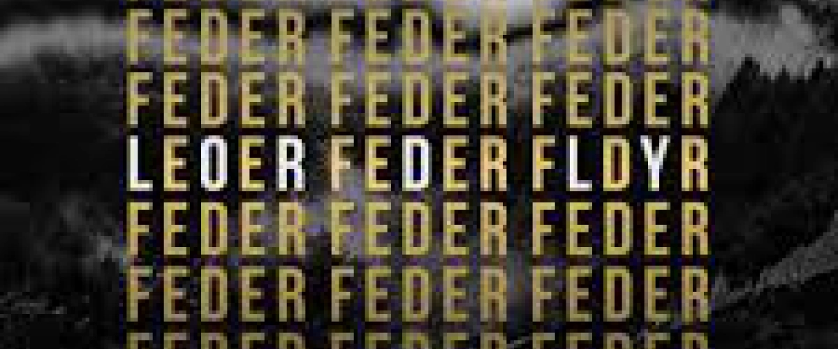 Feder feat. Alex Aiono - Lordly