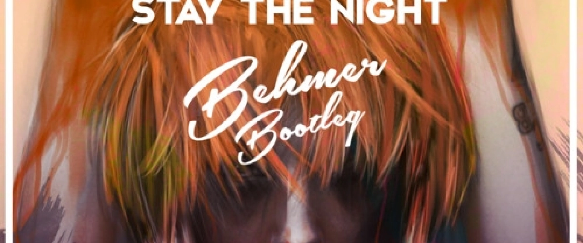 Zedd - Stay The Night 