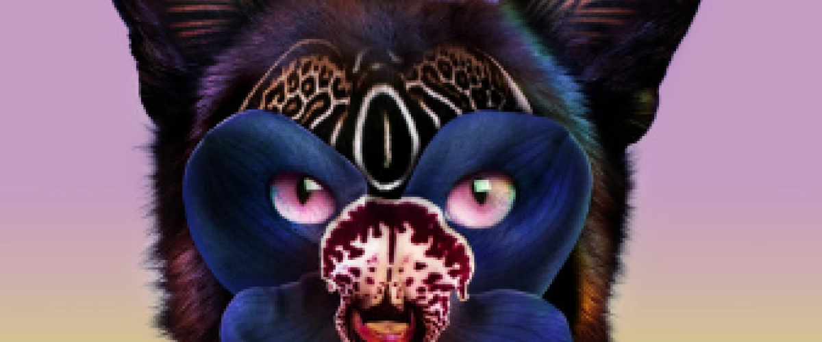 Galantis & Hook N Sling - Love On Me