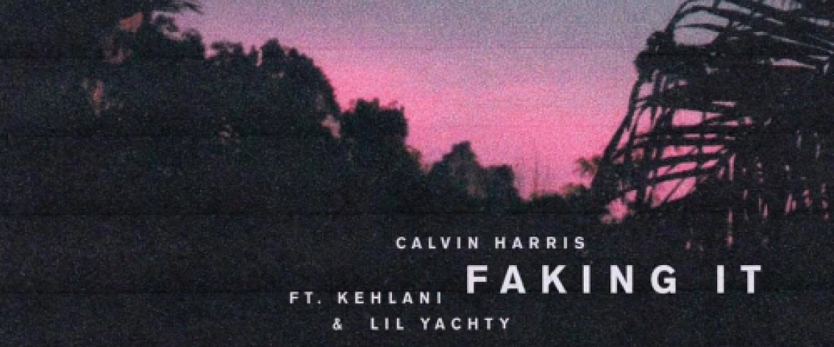 Calvin Harris - Faking It 