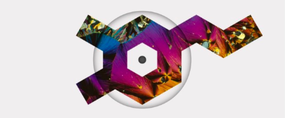 Calvin Harris - Regenerate Love déja sur MixFeever