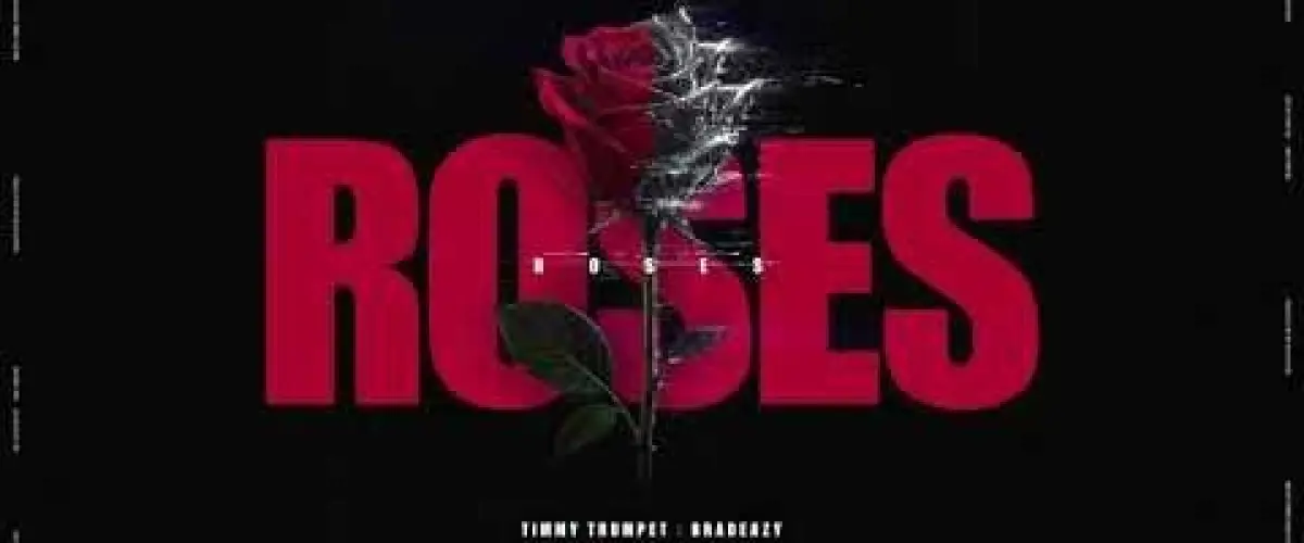 Timmy Trumpet et bradeazy dévoilent Roses, le hit électro de 2026