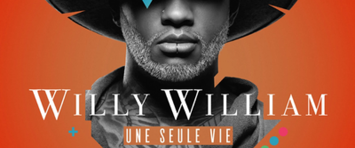 WILLY WILLIAM - Les Souris Dansent 