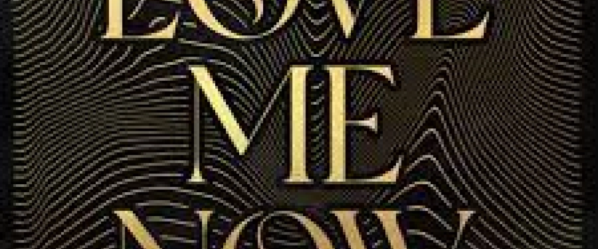 Ofenbach - Love Me Now (feat. FAST BOY)  déja sur MixFeever