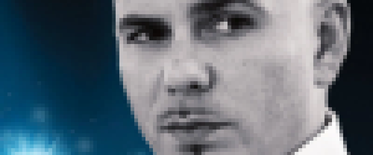 Pitbull en concert en France