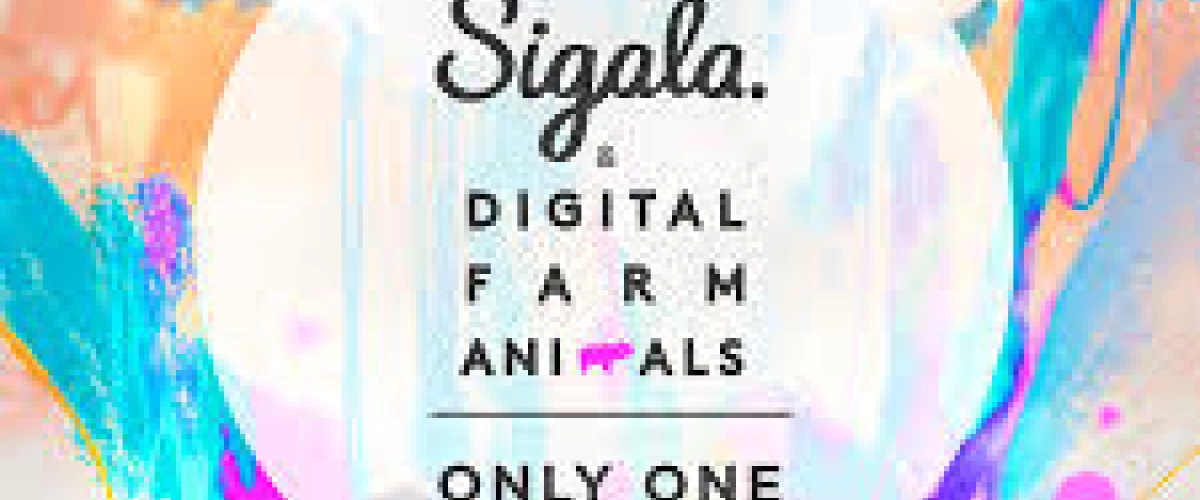 Sigala x Digital Farm Animals - Only One