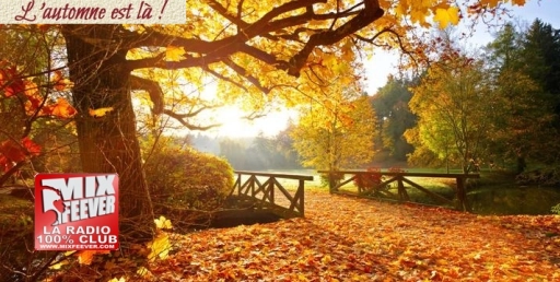 MixFeever Automne 