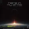 Armin Van Buuren - Here in my arms (Enjoy the silence)