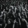 Black M, Vegedream, Dr Yaro - Longue Vie à Nous