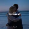 Don Diablo - Elephant