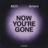 Moti - Now You're Gone