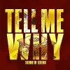 Sound Of Legend - Tell Me Why