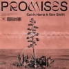 Calvin Harris, Sam Smith - Promises
