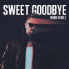 Robin Schulz - Sweet Goodbye déja sur MixFeever