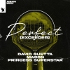 David Guetta & Mason vs Princess Superstar - Perfect (Exceeder) déja sur MixFeever