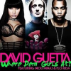 David Guetta : Le créateur de hits 