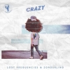 Lost Frequencies & Zonderling - Crazy
