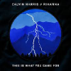 Calvin Harris - This Is What You Came For (ft. Rihanna)