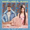 Shakira & Anuel AA – Me Gusta déja sur MixFeever