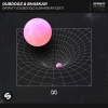 DubDogz & Bhaskar - Infinity (DubDogz & Bhaskar Edit) coup de coeur MixFeever Hit Garantie chez Nous 