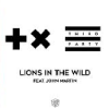 Martin Garrix & Third Party - Lions In The Wild