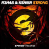 R3hab & KSHMR - Strong 