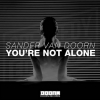 Sander van Doorn - You're Not Alone