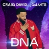 Craig David & Galantis - DNA déja sur MixFeever