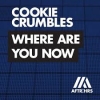 Cookie Crumbles - Where Are You Now 