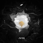 Avicii - Without You ft. Sandro Cavazza 