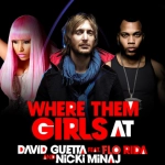 David Guetta : Le créateur de hits 