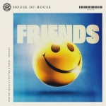 Dimitri Vegas x Steve Aoki x Chapter & Verse - Friends  déja sur MixFeever