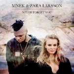 Zara Larsson, MNEK - Never Forget You