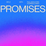 Diplo Promises à découvrir sur MixFeever
