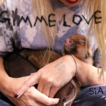 Sia Gimme Love déja sur MixFeever
