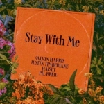 Calvin Harris - Stay With Me  déja sur MixFeever