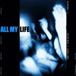 Timmy Trumpet enflamme avec All My life Feat John Martin Hit Garantie