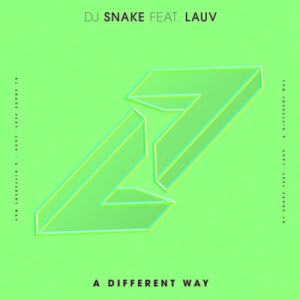 DJ Snake - A Different way