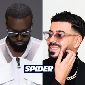 GIMS & DYSTINCT - SPIDER déja sur MixFeever Hit Garantie 