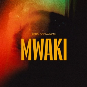 Zerb - Mwaki déja sur MixFeever