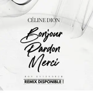 Céline Dion remixée par Bon Entendeur : le tube électro inattendu 