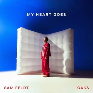 Sam Feldt dévoile My Heart Goes : le tube dance-pop qui va enflammer 2025