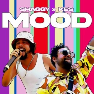 Shaggy ft. Kes - Mood déja sur MixFeever