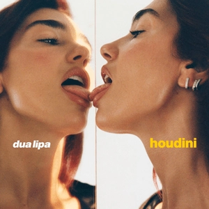 Dua Lipa - Houdini déja Sur MixFeever Hit Garantie 