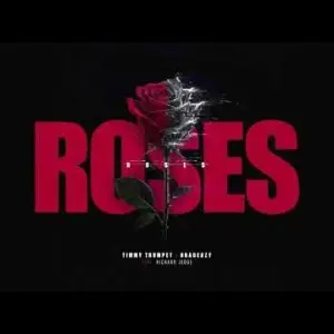 Timmy Trumpet et bradeazy dévoilent Roses, le hit électro de 2026